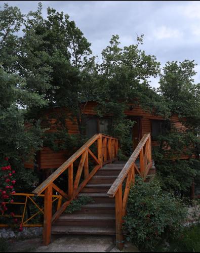 a wooden staircase leading to a cabin with trees at Kurora e Gjelber Resort in Peshkopi