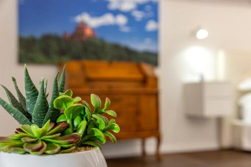 Righi Suite Apartment photo 31