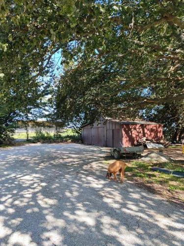 Galería fotográfica de Burnside Homestead en Oamaru