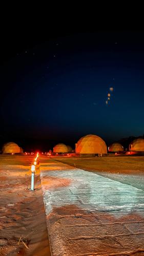 Wadi rum Wild life camp
