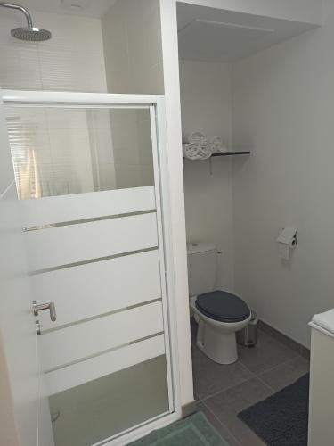 a bathroom with a toilet and a glass shower door at Maison de bord de mer - proche plage in La Turballe