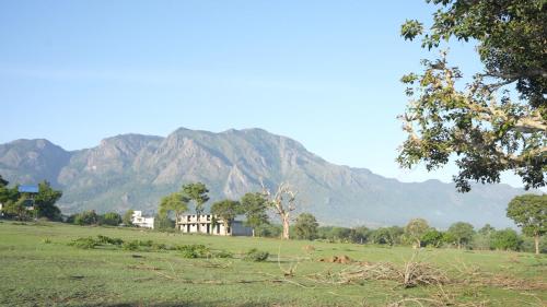 a house in a field with a mountain in the background at Wild Tusker Homestay Masinagudi by LexStays in Masinagudi