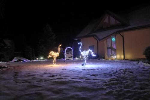 a house with christmas lights in the snow at night at Villa Rose & SPA in Mežciems