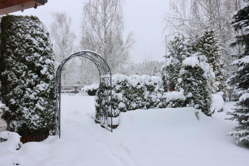 a garden covered in snow with a gate at Villa Rose & SPA in Mežciems