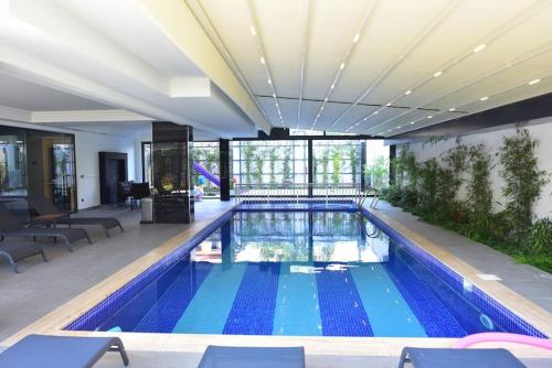 Cleopatra Legacy - Besthome 26