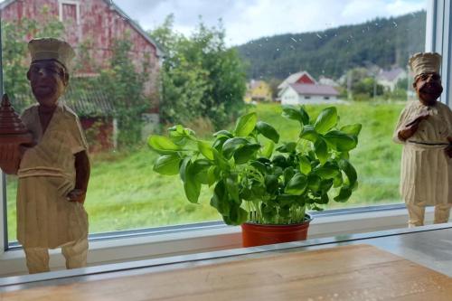 two statues of people standing in a window next to a plant at Haus Soltun-Was will man mehr! in Runde