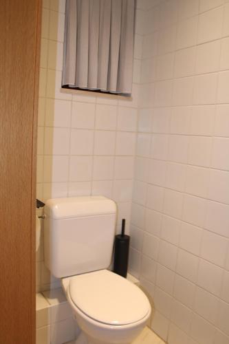 a bathroom with a white toilet and a window at Villa Luna in Oudsbergen 