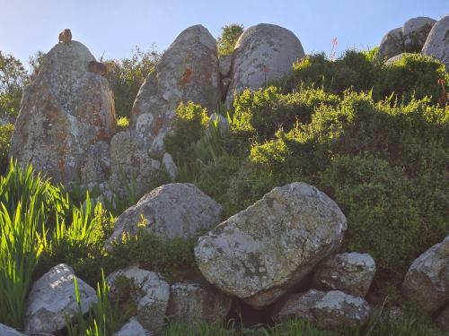 a pile of rocks with grass and plants at Peace Haven @ Windfarm Accommodation in Yzerfontein