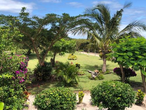 a garden with palm trees and flowers at Mar de las Calmas in Portinho da Inhaca
