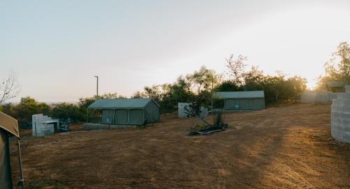 two green tents in a field with trees at Peace Haven @ Windfarm Accommodation in Yzerfontein