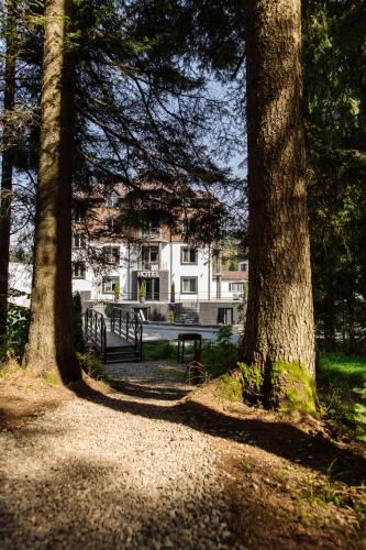 Paisaje cerca de este hotel
