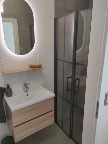 a bathroom with a sink and a shower at Neue Ferienwohnung 'Caracterre' auch Monteur- und Langzeitvermietung in Waldfeucht
