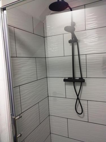 une douche avec pommeau de douche dans une salle de bain dans l'établissement Chez Arnaud, à Schiltigheim