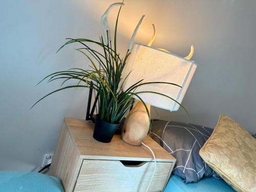 Φωτογραφία από το άλμπουμ του Relaxing park view 2 bedrooms apartment Free Wi-Fi στην Αδελαΐδα