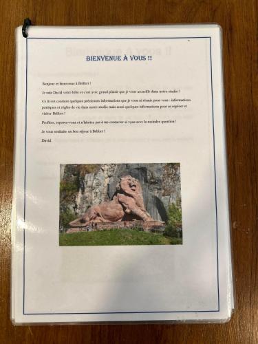 un livre avec une photo d'une statue de lion dans l'établissement Le Calme en plein centre ville de BELFORT, à Belfort
