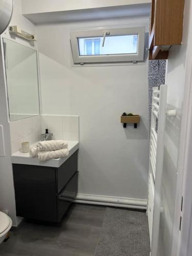 une salle de bain avec un lavabo et un miroir et des toilettes dans l'établissement Studio proche Disney et Paris, à Noisy-le-Grand
