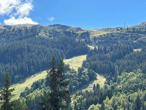 Photo de la galerie de l'établissement Grand appartement contemporain 10 pers, proche pistes et centre, ascenseur et Wifi inclus - FR-1-180-636, à Les Allues