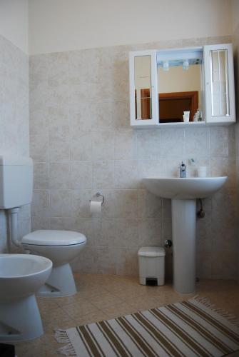 a bathroom with a sink and a toilet at La Buonanotte in Mantova
