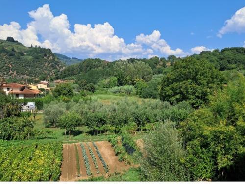 Fotografia z galérie ubytovania La locanda di nonna Jolanda v destinácii Borgo a Mozzano
