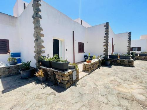 a courtyard with potted plants and a white building at Licinio's Apartments - Casa Lavanda in Pantelleria