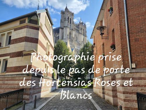 Les Hortensias Roses Duplex