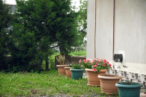 Ein Garten an der Unterkunft Magnito