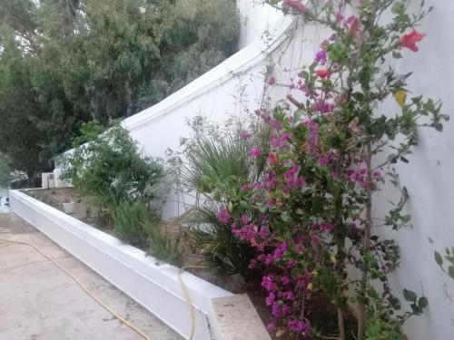 Κήπος έξω από το Dar rami