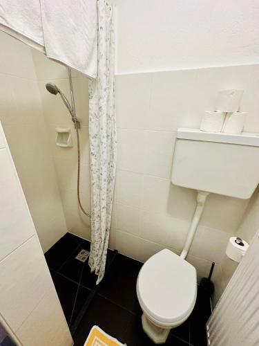 a small bathroom with a toilet and a shower at Gasthof Residence Brugghof & Erlhof in Campo Tures