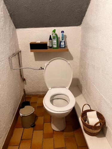 a bathroom with a toilet in a small room at Gîte de la petite Reine in Champagney