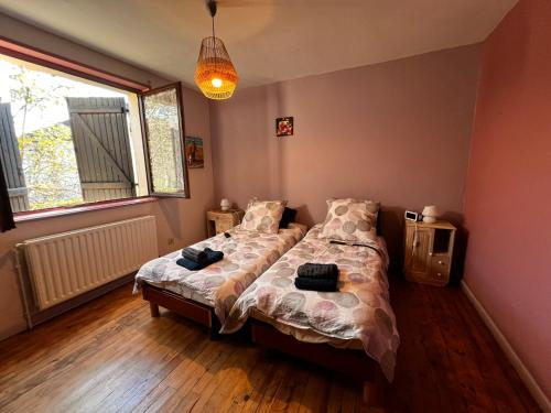 a bedroom with a bed and a tv in it at Gîte de la petite Reine in Champagney