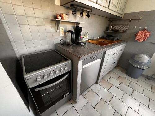 a small kitchen with a stove and a sink at Gîte de la petite Reine in Champagney
