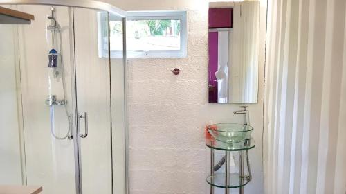a bathroom with a shower and a glass table at The Rusty Pelican in La Gaulette