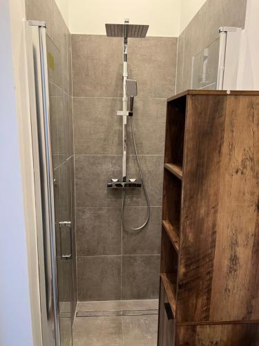 une douche avec pommeau de douche dans une salle de bain dans l'établissement Studio Appart 35m, à Rosny-sous-Bois
