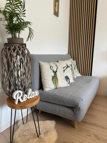 a grey couch in a living room with a plant at Schnelli Appartement Schladming in Schladming