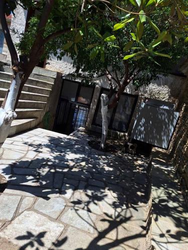 Φωτογραφία από το άλμπουμ του Sofia's house στην Άφησσο