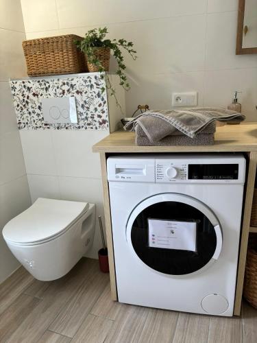 une salle de bain avec machine à laver et toilettes dans l'établissement Le Petit Hureau, à Saumur