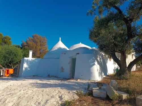 a white mosque with a tree in front of it at Trullo Amedee in Ostuni