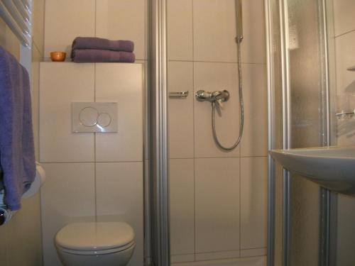 a bathroom with a shower and a toilet and a sink at Pension Garni Gerhard in Oetz