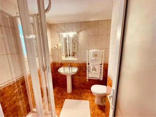 a bathroom with a toilet and a sink at Vila Liliana in Predeal