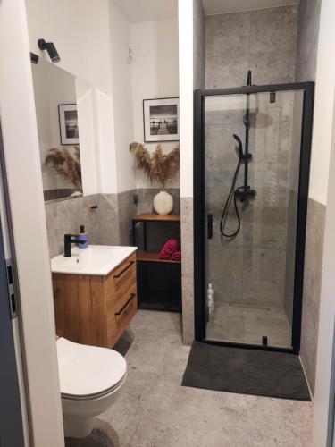 a bathroom with a shower and a toilet and a sink at Apartament nad wodą Zegrze in Zegrze