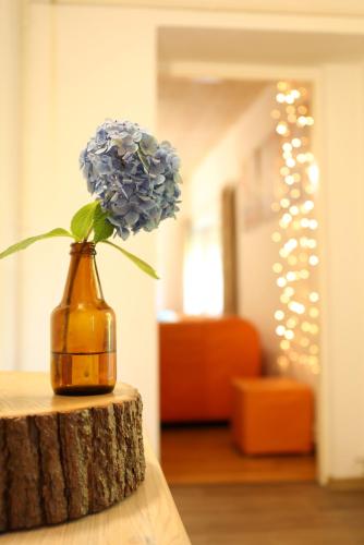 a vase with a flower in it sitting on a table at TUTTO House&Home in Lubno