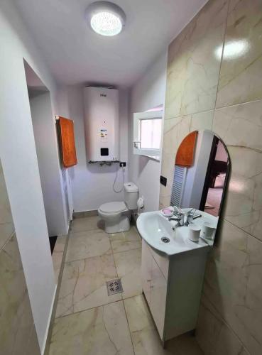 a bathroom with a toilet and a sink and a mirror at Cabana din Munți in Borşa