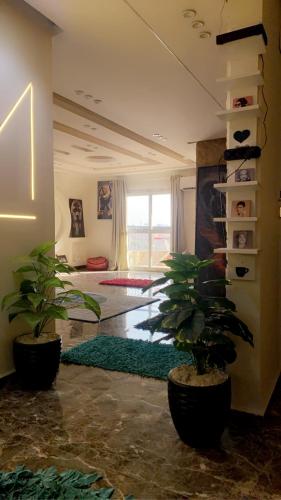 لايفيرا العقارية