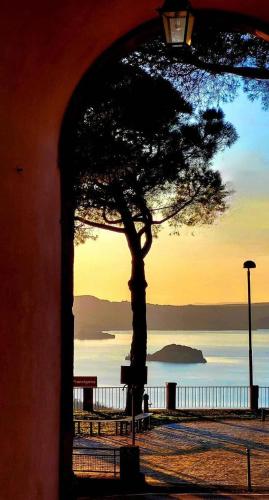 a tree and a bench in front of the water at Appartamento Casti in Montefiascone