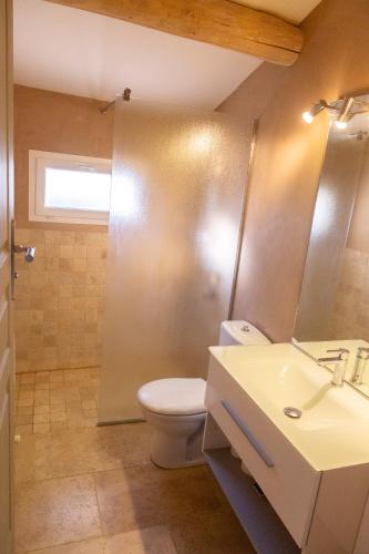 une salle de bain avec toilettes, douche et lavabo dans l'établissement Le gîte sous les pins, à Les Taillades