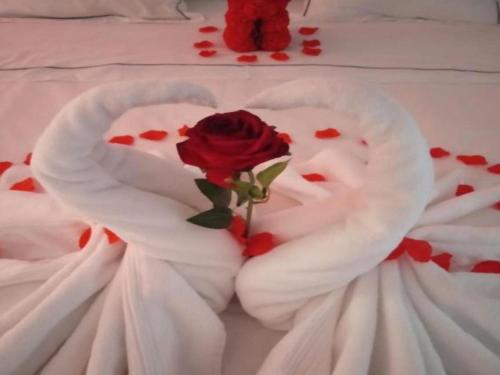 a heart shaped cake with a rose in the middle at WARSZAWA CENTRAL HOUSE - Studios in Warsaw with Private Jacuzzi, full access to Sauna, Gym and Billards - Studia z prywatnym Jacuzzi oraz dostępem do sauny, siłowni i bilarda in Warsaw