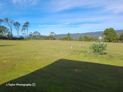 a large field of grass with trees in the background at Mt Elephant Bush Retreat - Gray in Gray