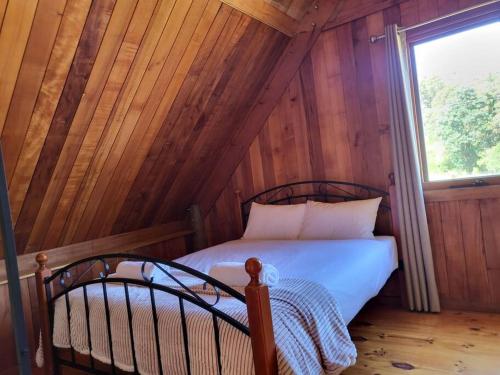 a bedroom with a bed in a room with a window at Mt Elephant Bush Retreat - Gray in Gray