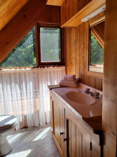 a bathroom with a sink and a toilet in a cabin at Mt Elephant Bush Retreat - Gray in Gray