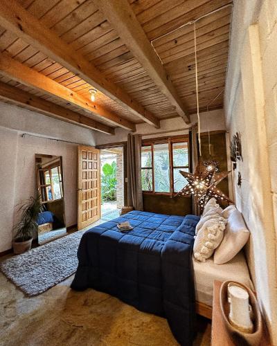 a bedroom with a blue bed in a room with windows at Hotel Neutro in San Cristóbal de Las Casas